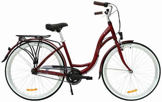 kolo STORM Barcelona 28" 3sp. 17" bordó