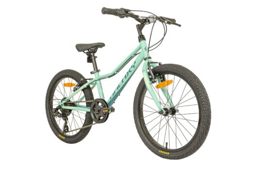 GALAXY NEPTUN 20" ZELENÁ - Image 2